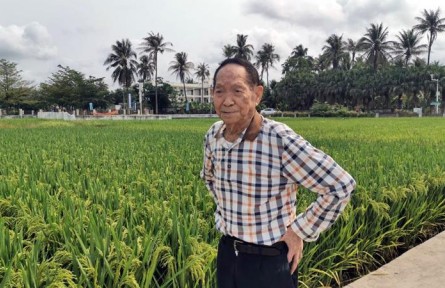 袁隆平：中國不會出現(xiàn)“糧荒” 完全能夠自給自足