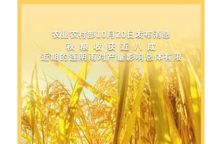 農(nóng)業(yè)農(nóng)村部：秋糧增產(chǎn)已成定局