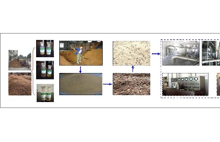 77、成果名稱：蘋果渣高值綜合利用關(guān)鍵技術(shù)