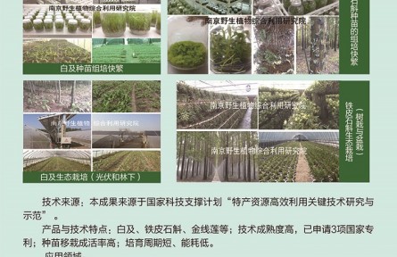 功能性植物種苗工廠化組培快繁、生態(tài)立體種植及高值產(chǎn)品開發(fā)