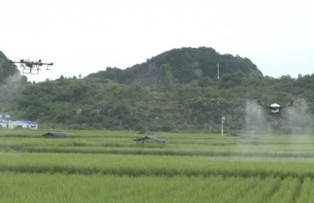 貴州：推廣無人機植保 機械化助農增效