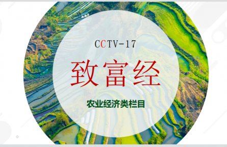 CCTV-17農(nóng)業(yè)農(nóng)村頻道-《致富經(jīng)》欄目服務