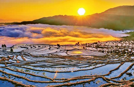 哈尼梯田上的日子越過(guò)越紅火