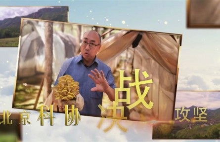 大美科技特派員|北京：劉宇依托蘑菇產(chǎn)業(yè)助力扶貧