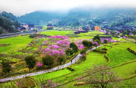 《大美中國(guó)·家國(guó)清明》湖南