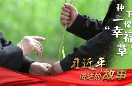 習(xí)近平講述的故事：種下一棵“幸福草”