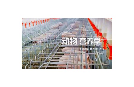 《動(dòng)物營(yíng)養(yǎng)學(xué)》講座系列視頻