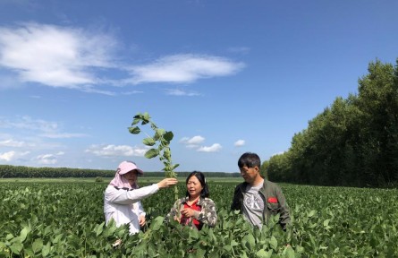 “豆大”的事兒，她一干就是37年