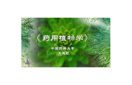 《藥用植物學(xué)》講座系列視頻