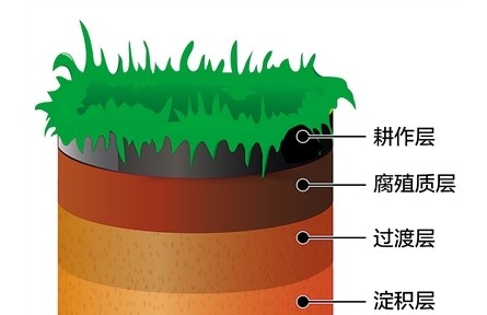 科普 | 黑土地為什么是黑色的？