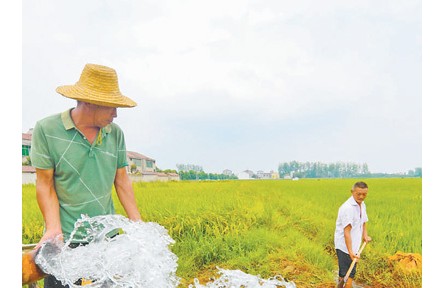 保障生活生產用水 努力奪取秋糧豐收