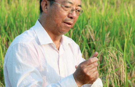 中國科學院院士謝華安：把“農業(yè)芯片”牢握手中