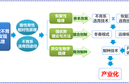 北京市農(nóng)科院試驗(yàn)基地雜交小麥開(kāi)始全面秋播