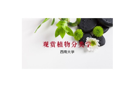 《觀賞植物分類學(xué)》講座系列視頻