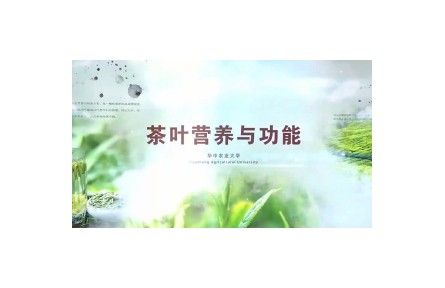 《茶葉營養(yǎng)與功能》課程系列視頻