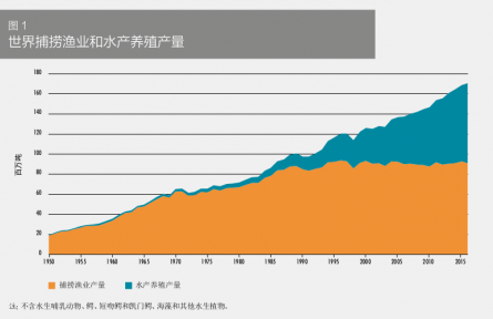 科普 | 在海洋中“放牧”——海洋如何變糧倉？