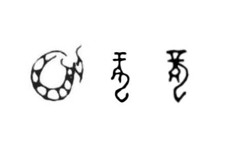 咬文嚼字 |“龍”，你到底是什么？