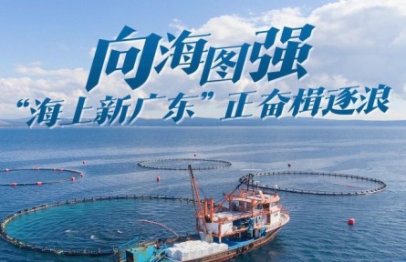 向海圖強！“海上新廣東”正奮楫逐浪