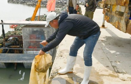 山東威海南海新區(qū)增殖放流60余萬尾魚苗