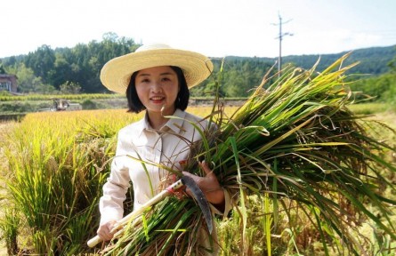 中國青年五四獎(jiǎng)?wù)隆鲍@得者鄧小燕：“燕兒”歸來稻更香