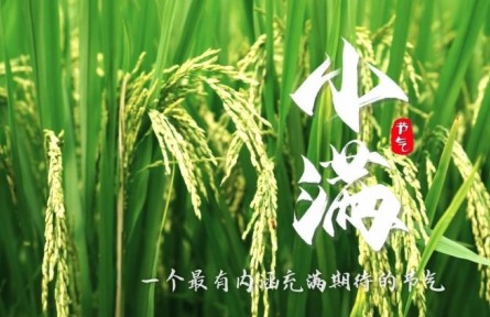 《節(jié)氣里的大美中國(guó)》小滿：一個(gè)最有內(nèi)涵充滿期待的節(jié)氣