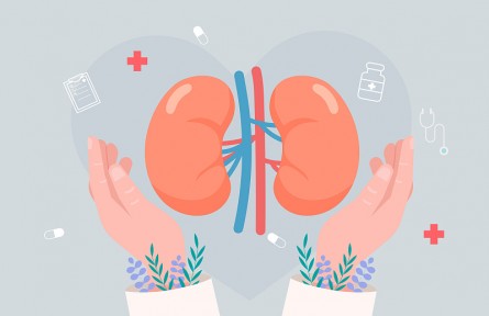 科技名詞 | 腎性高血壓 renal hypertension