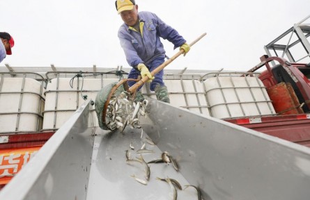 長江“十年禁漁”取得階段性成果