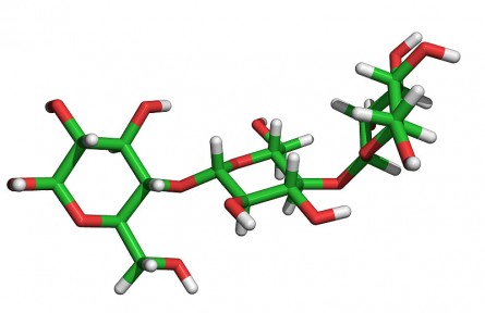 科技名詞 | 纖維素酶 cellulase