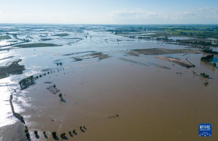 記者五常農(nóng)田實(shí)地探訪：強(qiáng)降雨對五常大米有何影響？