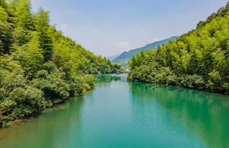 全國生態(tài)日記者行 | 點(diǎn)“水”亦成金——解鎖浙江省杭州市余杭區(qū)青山村生態(tài)富民密碼