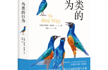 妙趣橫生的鳥類私生活，顛覆你的傳統(tǒng)認(rèn)知