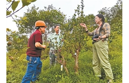 借科技之力催動(dòng)山村巨變——記中國林科院亞熱帶林業(yè)研究所科技特派員服務(wù)浙江20年