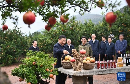 習(xí)近平在浙江考察時(shí)強(qiáng)調(diào) 始終干在實(shí)處走在前列勇立潮頭 奮力譜寫中國(guó)式現(xiàn)代化浙江新篇章 返京途中在山東棗莊考察