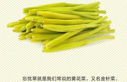 黃花菜吃不對(duì)可致中毒