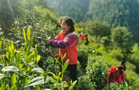 “全國三八紅旗手”江紫霞：多為群眾辦實(shí)事，心里踏實(shí)