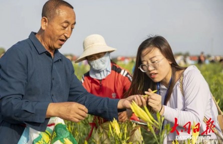 山西大同黃花產(chǎn)業(yè)入選知識(shí)產(chǎn)權(quán)強(qiáng)國建設(shè)典型案例