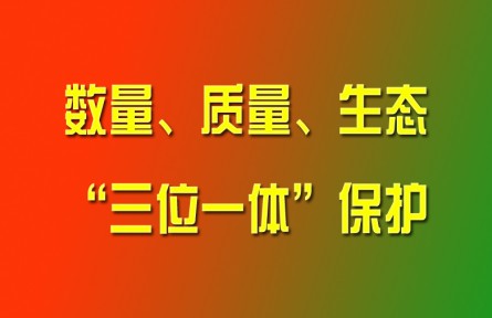 習近平論強化耕地數(shù)量、質(zhì)量、生態(tài)“三位一體”保護