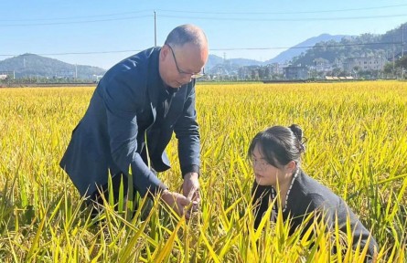 選調生董瀅璐：土地從不辜負每一顆奮斗的種子