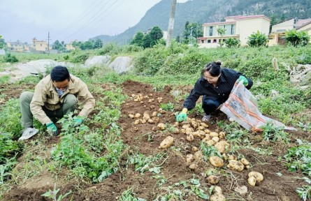 選調生蔣炎廷：離泥土越近越安心