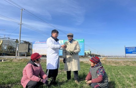 揚州大學：“田管家”團隊向寒而行 守護小麥安全越冬