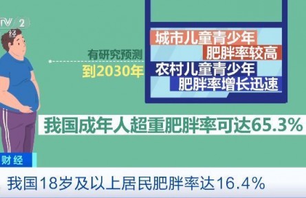 “不吃主食”“光靠運動”是減肥誤區(qū)！