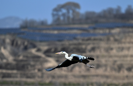 生態(tài)保護補償條例 regulations governing ecological protection compensation