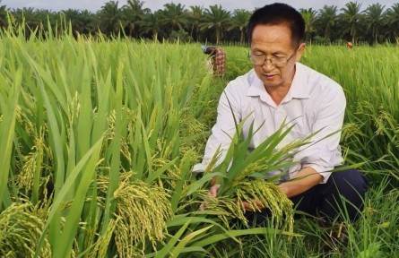 楊華德：因?yàn)樽约毫苓^(guò)雨，所以也想為別人撐傘