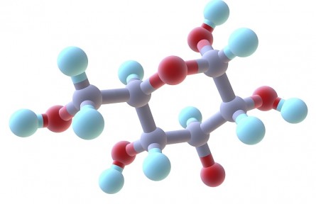 科技名詞|單糖 monosaccharide