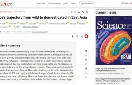 《科學(xué)》雜志發(fā)表上山文化重要研究成果 進(jìn)一步確認(rèn)我國是世界水稻起源地