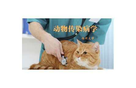 《動物傳染病學(xué)》課程系列視頻