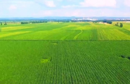 吉林：從會(huì)種地到“慧”種地 田間科技范十足