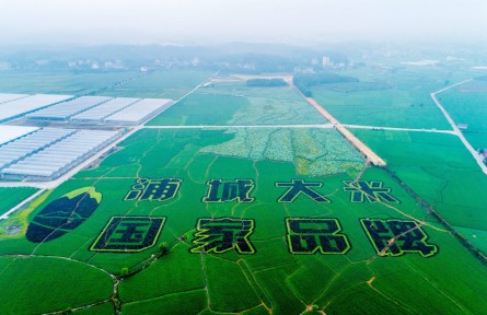 福建浦城：科技賦能，大米產(chǎn)業(yè)邁進數(shù)字化時代