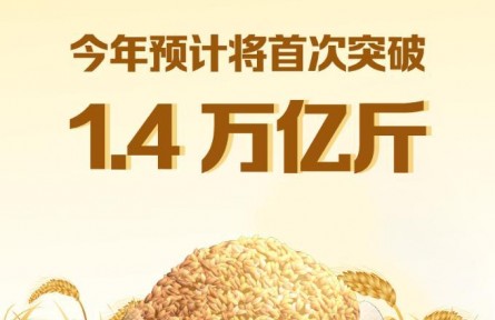 今年糧食產(chǎn)量預(yù)計將首次突破1.4萬億斤