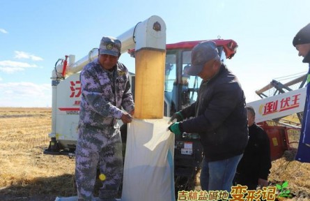 破“堿”重生！吉林鹽堿地變形記